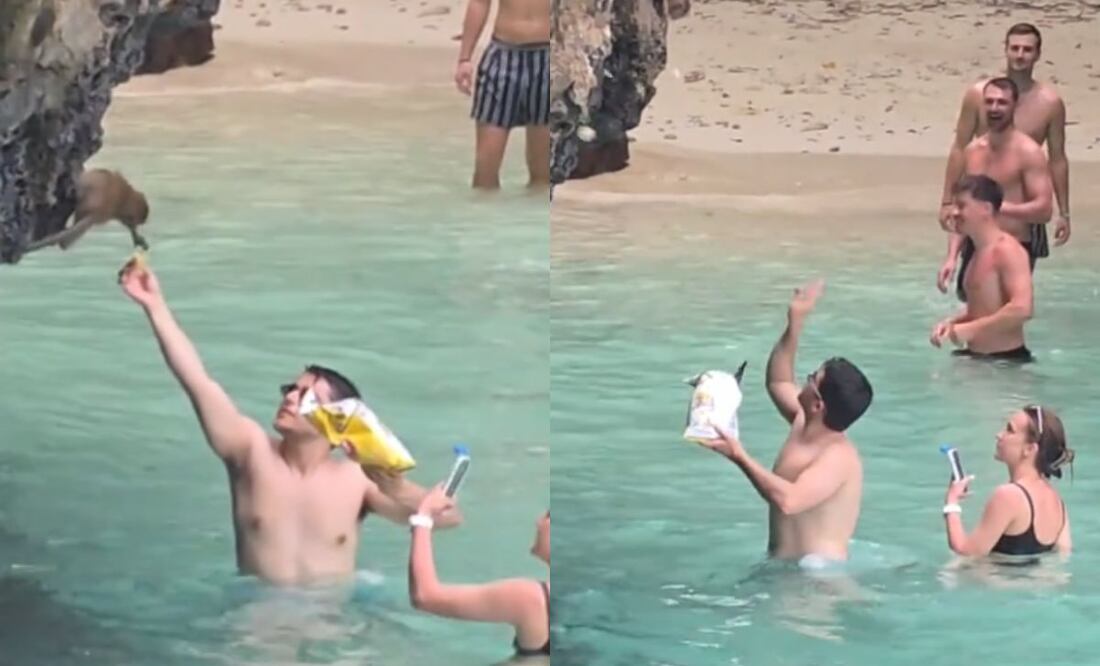 Video viral muestra a turistas contaminando y alimentando a monos en zona protegida con papas fritas | Imágenes: Tiktok @patrickbangkok