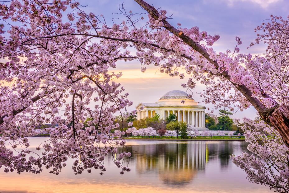 Washington DC. iStock/ Sean Pavone