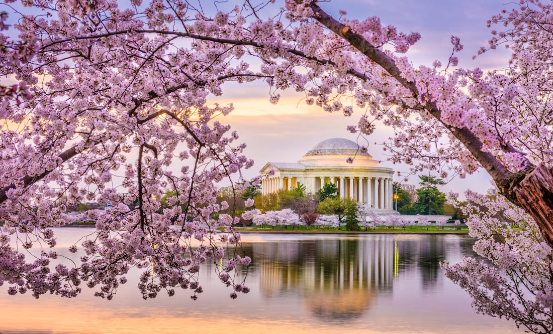 Washington DC. iStock/ Sean Pavone