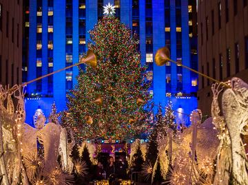 Así es el árbol de Navidad que iluminará Nueva York desde hoy