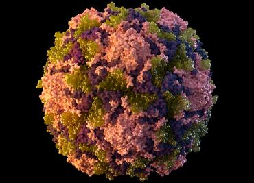 NY reporta el primer caso de polio en Estados Unidos en una década