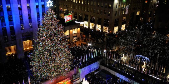 Eligen el árbol de Navidad que adornará el Rockefeller Center este año