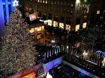 Eligen el árbol de Navidad que adornará el Rockefeller Center este año