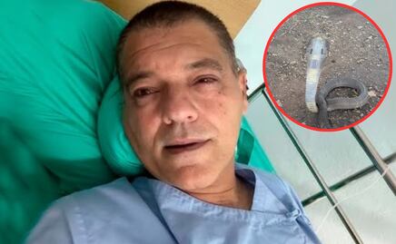 Influencer Frank Cuesta es hospitalizado en Tailandia tras mordedura de una cobra escupidora, una de las más letales