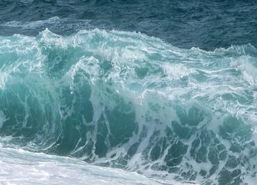 Ola se adentra en la tierra y deja 6 heridos en Miami Beach