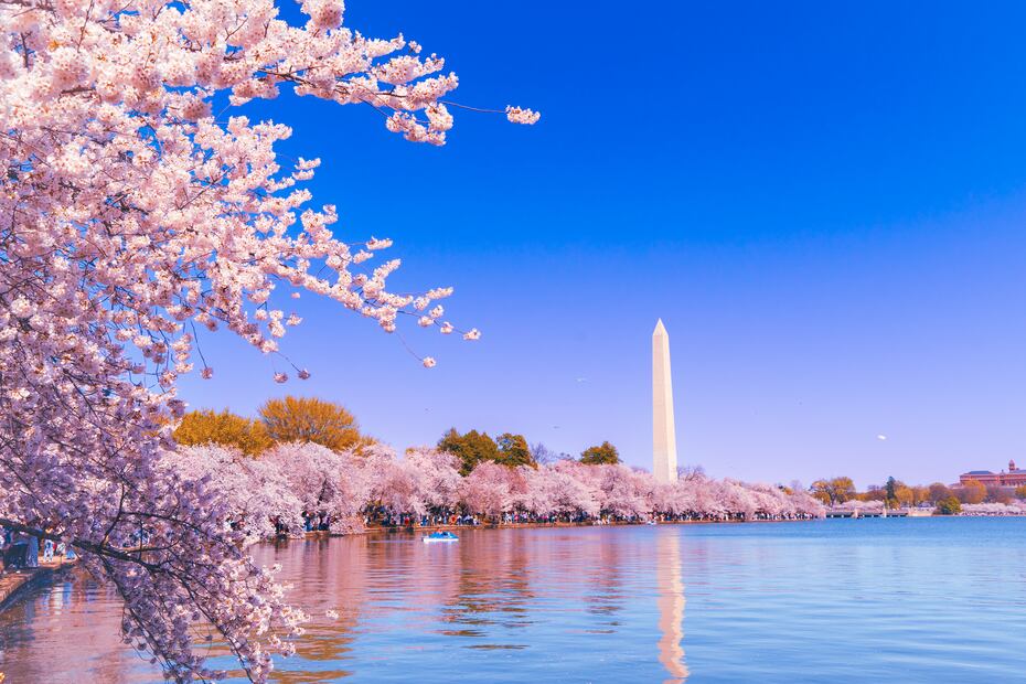 Washington DC. iStock/ Pradip Singh