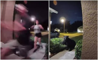 Video. Oso persigue a pareja que paseaba a su perro en Florida