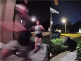 Video. Oso persigue a pareja que paseaba a su perro en Florida