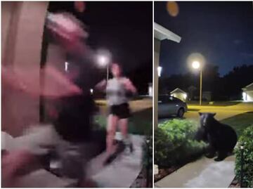 Video. Oso persigue a pareja que paseaba a su perro en Florida