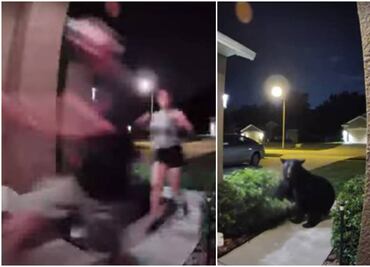 Video. Oso persigue a pareja que paseaba a su perro en Florida