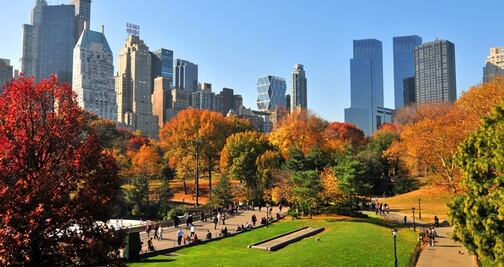 ¿Cuándo y cómo encontrar vuelos baratos de avión en otoño? 