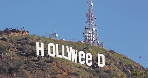 Museo de la Marihuana llegará a Hollywood este agosto 