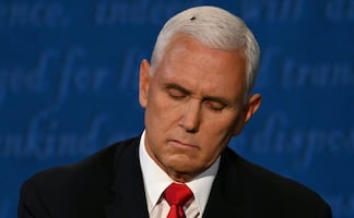 ¿Quién ganó el debate Pence vs Harris? ¿la mosca?