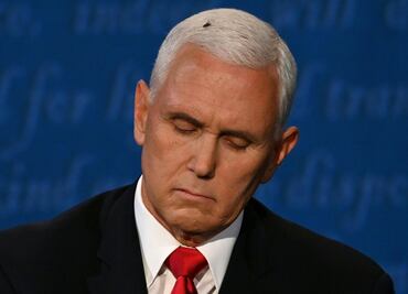 ¿Quién ganó el debate Pence vs Harris? ¿la mosca?