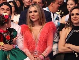 Esposa del "Canelo" presume su matrimonio en Instagram