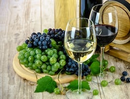 Empresa paga $10 mil dólares por trabajar y aprender sobre el vino