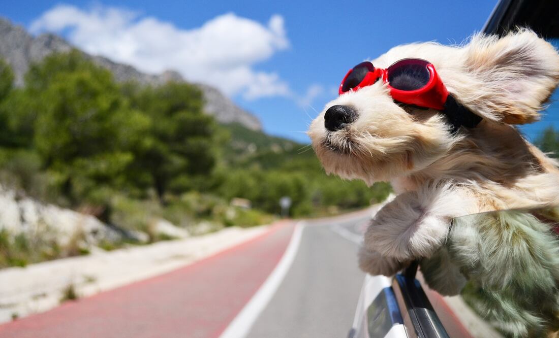 Road Trip. Foto: Adobe