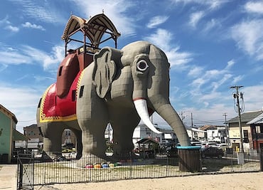 El Airbnb para dormir dentro de un ‘elefante’