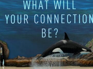 Los eventos de Halloween para niños en SeaWorld San Diego