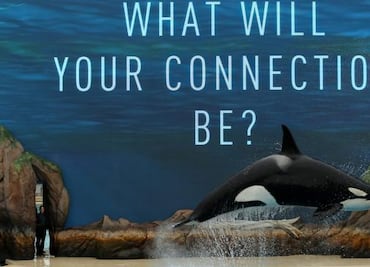 Los eventos de Halloween para niños en SeaWorld San Diego