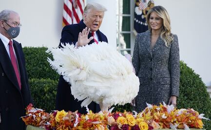 Thanksgiving 2025: Trump indultará a Gobble y Waddle, los pavos protagonistas de este año