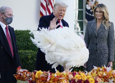 Trump indulta a su último pavo en la Casa Blanca