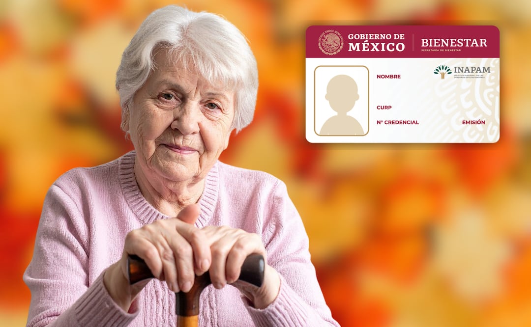 Guía completa INAPAM 2025 beneficios, descuentos y trámite para la credencial en noviembre. Foto: Canva / INAPAM