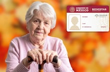 Guía completa INAPAM 2025: beneficios, descuentos y trámite para la credencial en noviembre