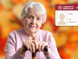 Guía completa INAPAM 2025: beneficios, descuentos y trámite para la credencial en noviembre