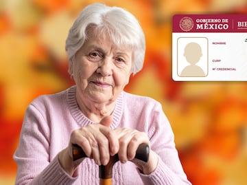 Guía completa INAPAM 2025: beneficios, descuentos y trámite para la credencial en noviembre