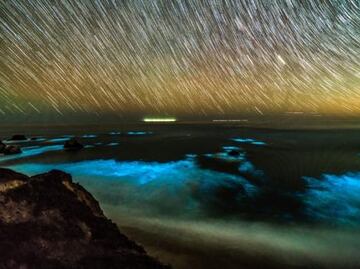 La mejor temporada para visitar la 'mágica' playa de Big Sur