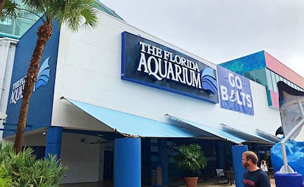 ¿Por qué el Acuario de Florida es uno de los mejores de EU?