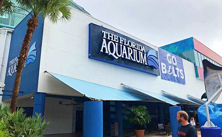 ¿Por qué el Acuario de Florida es uno de los mejores de EU?