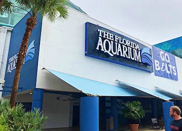 ¿Por qué el Acuario de Florida es uno de los mejores de EU?