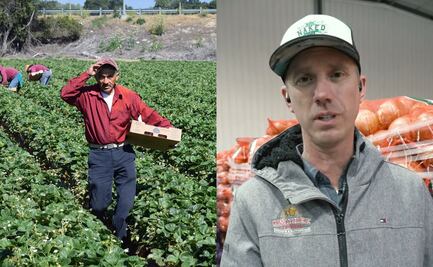 Reportan falta de trabajadores agrícolas tras deportaciones de Trump; empresario los defiende. VIDEO