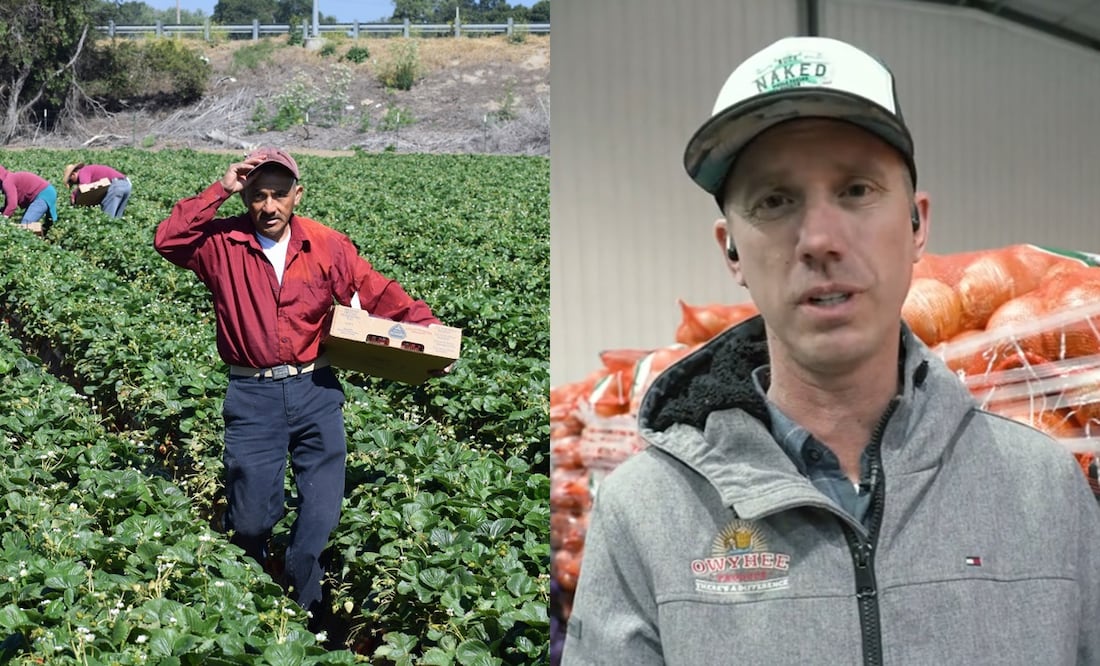 Reportan falta de trabajadores en EU tras deportaciones de Donald Trump; empresario los defiende. Foto: iStock/derechodx/captura TikTok