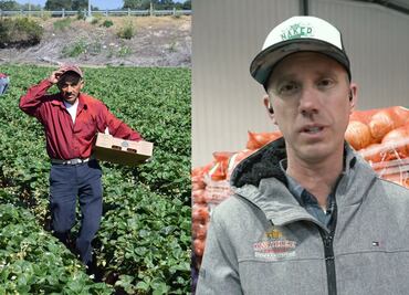 Reportan falta de trabajadores agrícolas tras deportaciones de Trump; empresario los defiende. VIDEO