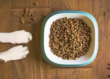 FDA alerta por toxina en alimento para perros tras muerte de 130 animales