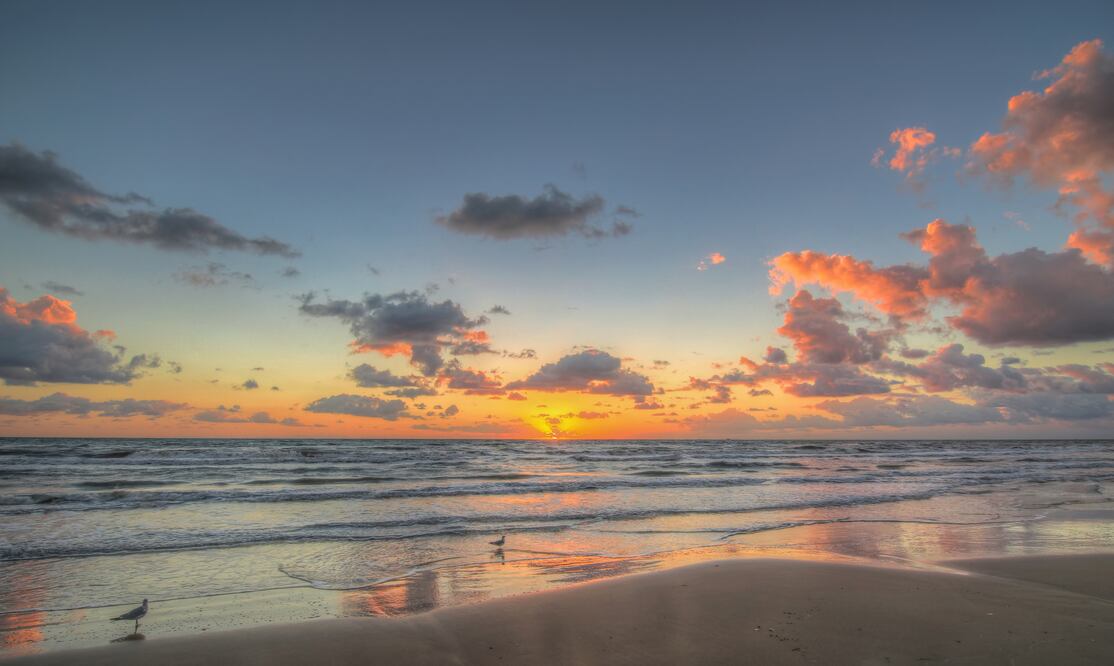 Gulls at Sunrise/ iStock/Hundley_Photography