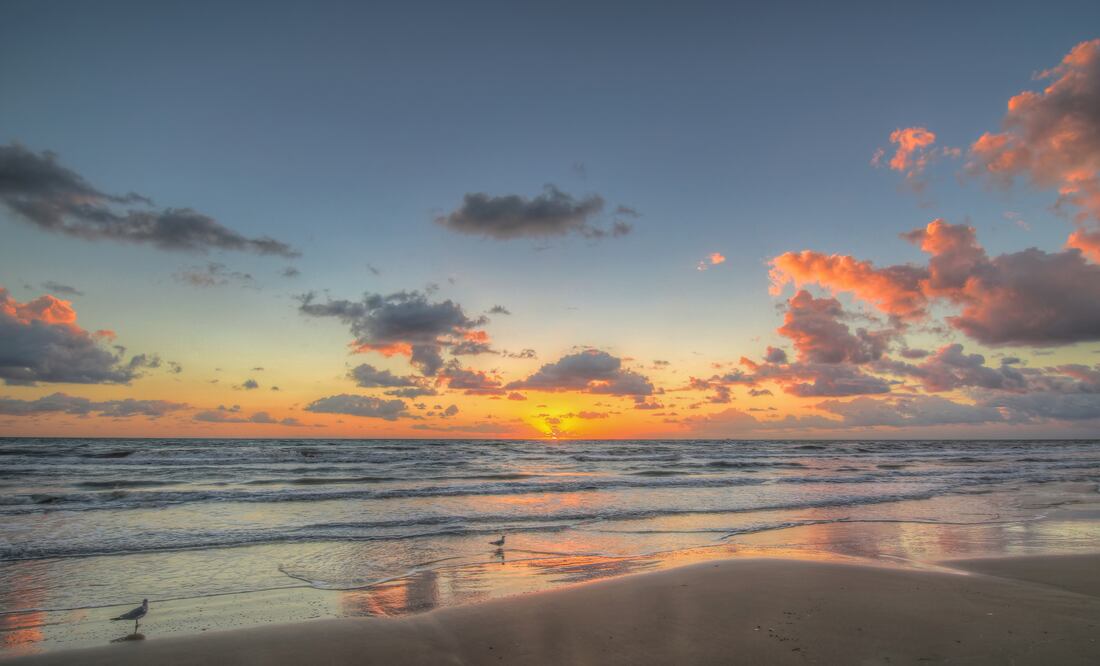 Gulls at Sunrise/ iStock/Hundley_Photography