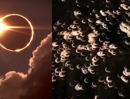 Eclipse total de Sol. ¿Qué es el efecto Pinhole y cómo ver el ‘anillo de fuego’ en la sombra de los árboles?