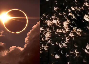 Eclipse total de Sol. ¿Qué es el efecto Pinhole y cómo ver el ‘anillo de fuego’ en la sombra de los árboles?