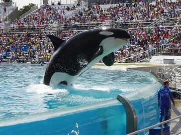 SeaWorld presenta plan de reapertura de sus parques