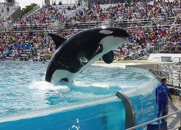 SeaWorld presenta plan de reapertura de sus parques