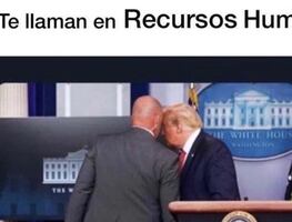 Los memes de la virtual victoria de Joe Biden y la derrota de Donald Trump