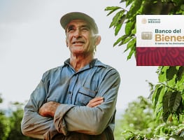 Pensión Bienestar 2024. ¿Qué adultos mayores recibirán el pago de 12 mil pesos?