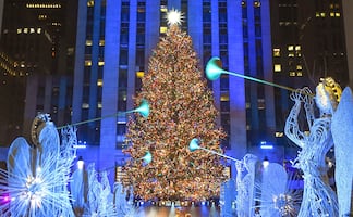 Los 10 mejores árboles de Navidad en Estados Unidos