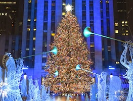 Los 10 mejores árboles de Navidad en Estados Unidos