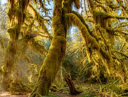 10 destinos únicos de Estados Unidos que parecen sacados de una película