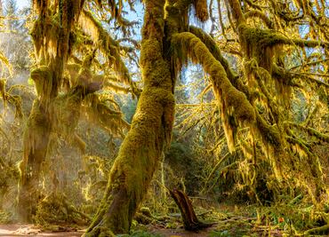 10 destinos únicos de Estados Unidos que parecen sacados de una película